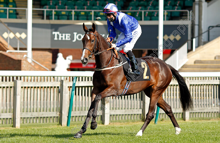 Mizaaj-0001 
 MIZAAJ (Dane O'Neill)
Newmarket 19 Sep 2020 - Pic Steven Cargill / Racingfotos.com