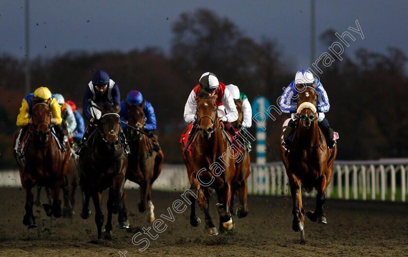 Bullace-0003 
 BULLACE (centre, Rob Hornby) beats NINE TALES (right) in The Unibet Extra Place Offers Every Day Novice Stakes Div1
Kempton 11 Nov 2020 - Pic Steven Cargill / Racingfotos.com