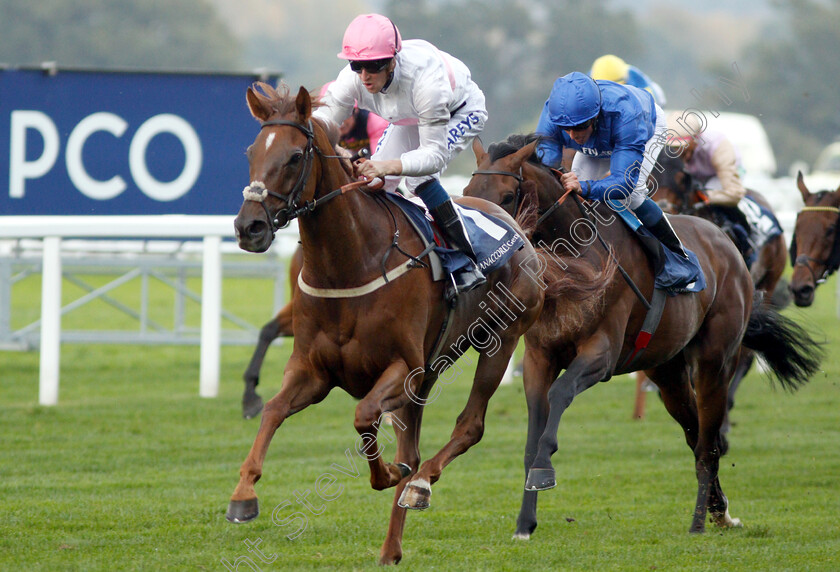 What-A-Welcome-0005 
 WHAT A WELCOME (Joey Haynes) wins The Canaccord Genuity Gordon Carter Handicap
Ascot 5 Oct 2018 - Pic Steven Cargill / Racingfotos.com