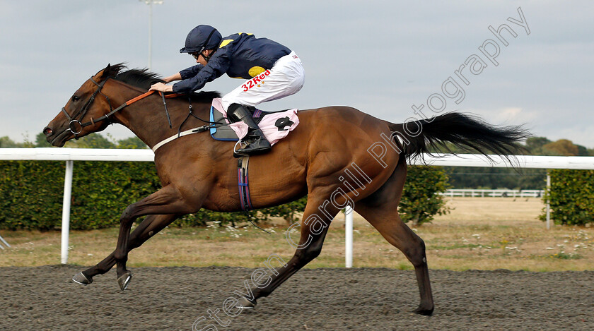 Jumeirah-Street-0006 
 JUMEIRAH STREET (Jamie Spencer) wins The Breeders Backing Racing EBF Fillies Novice Stakes Div1
Kempton 15 Aug 2018 - Pic Steven Cargill / Racingfotos.com