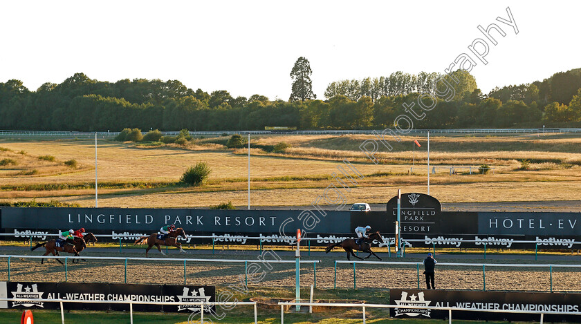 Pearl-Beach-0002 
 PEARL BEACH (Tom Queally) wins The Read Andrew Balding On Betway Insider Handicap
Lingfield 4 Aug 2020 - Pic Steven Cargill / Racingfotos.com