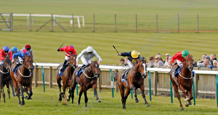 Rufus-King-0001 
 RUFUS KING (right, P J McDonald) beats PORTH SWTAN (2nd right) in The Darley Nursery Newmarket 14 Oct 2017 - Pic Steven Cargill / Racingfotos.com