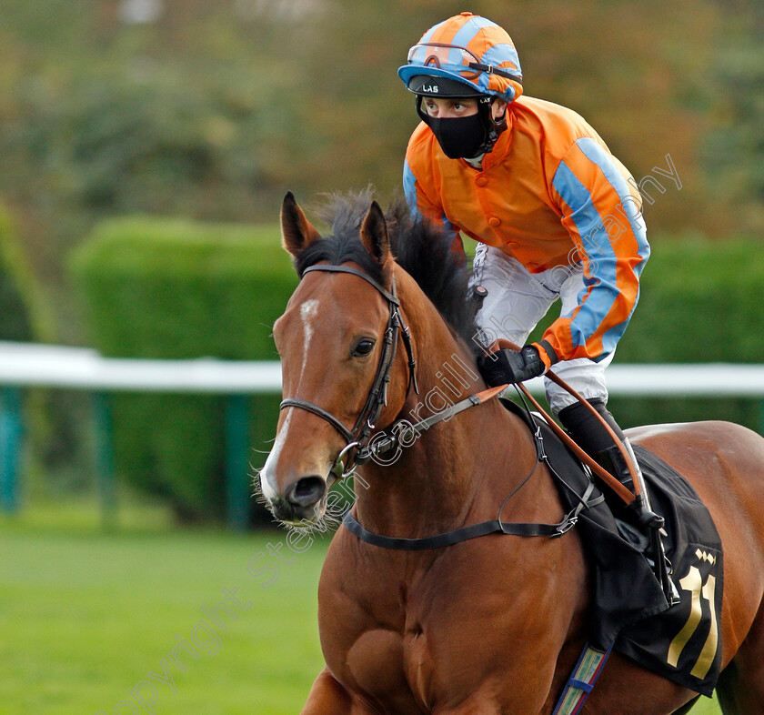 Charles-Le-Brun-0001 
 CHARLES LE BRUN (Duran Fentiman)
Nottingham 14 Oct 2020 - Pic Steven Cargill / Racingfotos.com