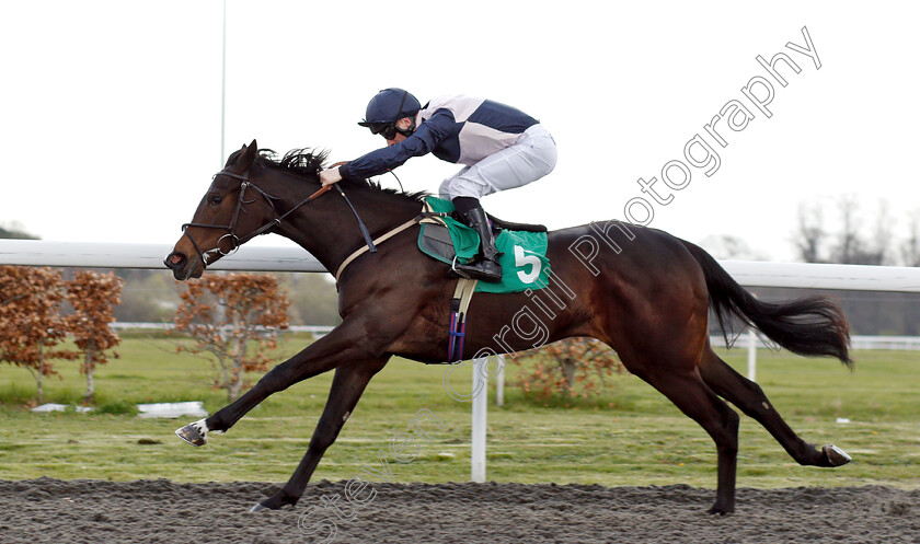 Lady-Kermit-0006 
 LADY KERMIT (Edward Greatrex) wins The 100% Profit Boost At 32redsport.com EBF FIllies Novice Stakes
Kempton 3 Apr 2019 - Pic Steven Cargill / Racingfotos.com