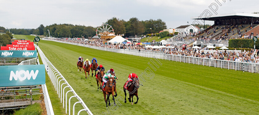 Berkshire-Rebel-0002 
 BERKSHIRE REBEL (right, Oisin Murphy) beats FIRTH OF CLYDE (left) in The tote EBF Restricted Maiden Stakes
Goodwood 29 Aug 2021 - Pic Steven Cargill / Racingfotos.com