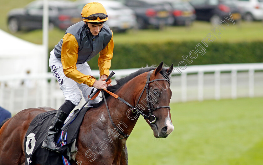 Witness-Stand-0001 
 WITNESS STAND (Daniel Tudhope)
Goodwood 1 Aug 2023 - Pic Steven Cargill / Racingfotos.com