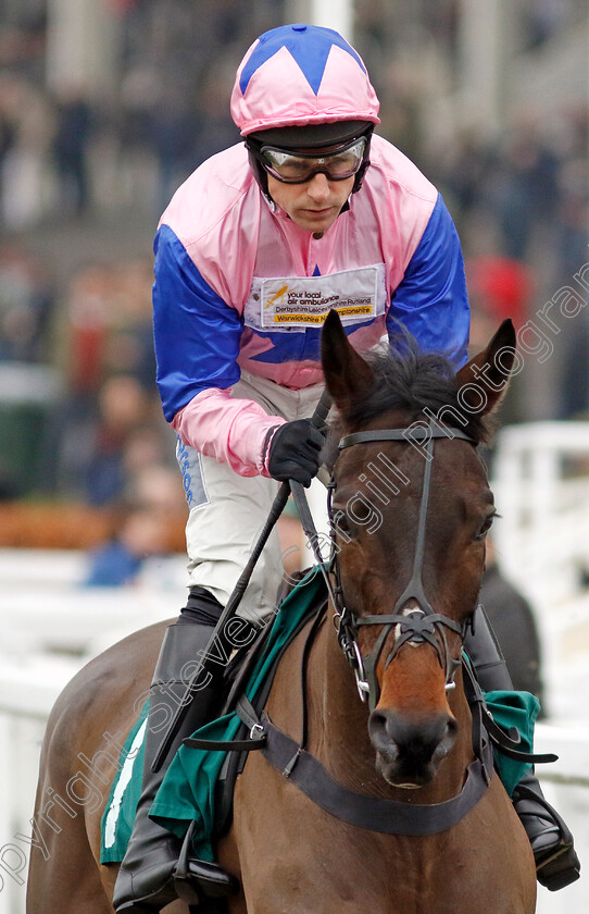 Country-Mile-0007 
 COUNTRY MILE (Harry Skelton) winner of The British EBF National Hunt Novices Hurdle
Cheltenham 13 Dec 2024 - Pic Steven Cargill / Racingfotos.com