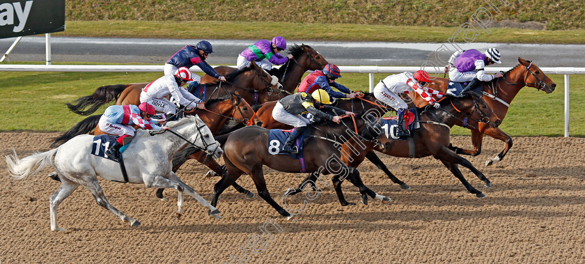 Born-To-Be-Alive-0006 
 BORN TO BE ALIVE (Clifford Lee) beats ON A SESSION (10) RISE HALL (8) and THE GILL BROTHERS (11) in The Bombardier British Hopped Amber Beer Lincoln Trial Handicap
Wolverhampton 13 Mar 2021 - Pic Steven Cargill / Racingfotos.com