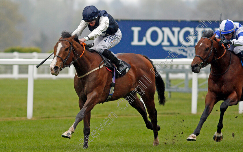 Rohaan-0004 
 ROHAAN (left, Ryan Moore) beats SAINT LAWRENCE (right) in The Qipco British Champions Series Pavilion Stakes
Ascot 28 Apr 2021 - Pic Steven Cargill / Racingfotos.com