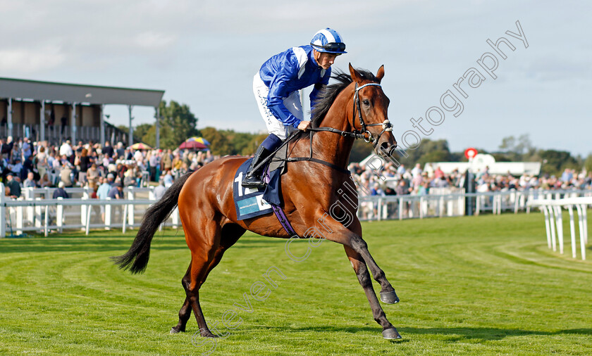 Shaara-0007 
 SHAARA (Jim Crowley) winner of The EBF Stallions John Musker Stakes
Yarmouth 14 Sep 2022 - Pic Steven Cargill / Racingfotos.com