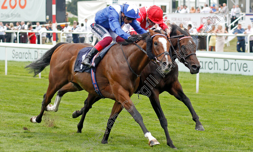 Harrovian-0002 
 HARROVIAN (left, Frankie Dettori) beats SINJAARI (right) in The Hilton Garden Inn Doncaster Conditions Stakes
Doncaster 9 Sep 2021 - Pic Steven Cargill / Racingfotos.com