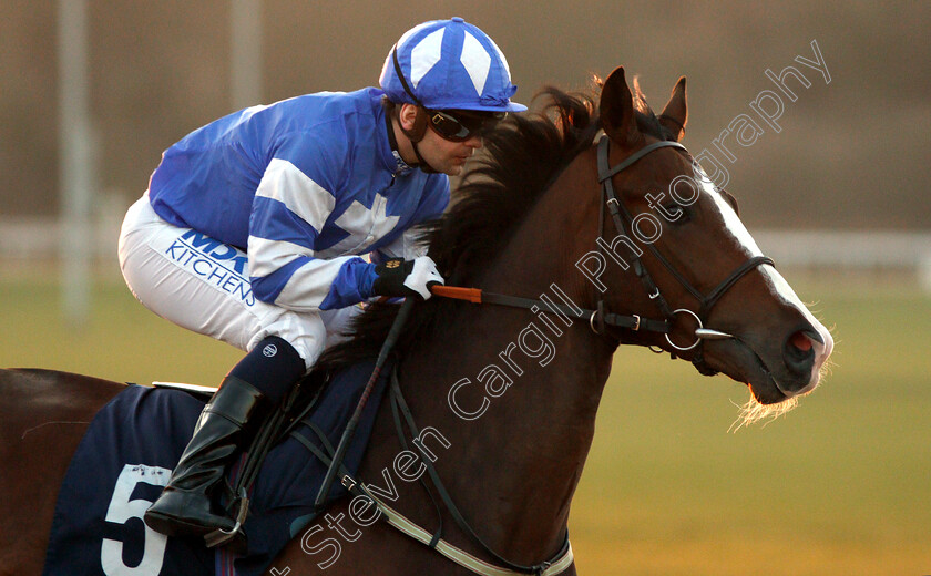 Angel-Black-0002 
 ANGEL BLACK (Liam Jones)
Wolverhampton 26 Feb 2019 - Pic Steven Cargill / Racingfotos.com