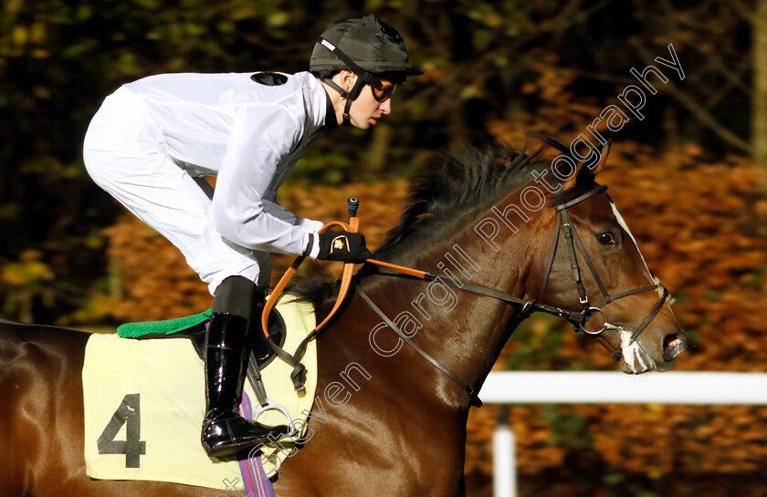 New-Statesman-0001 
 NEW STATESMAN (Ross Coakley)
Kempton 13 Dec 2023 - Pic Steven Cargill / Racingfotos.com