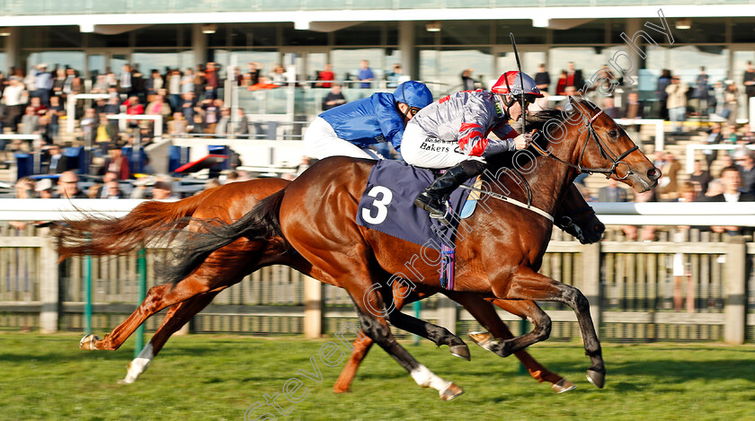 Knight-To-Behold-0002 
 KNIGHT TO BEHOLD (Richard Kingscote) wins The British EBF Racing UK Novice Stakes Newmarket 25 Oct 2017 - Pic Steven Cargill / Racingfotos.com