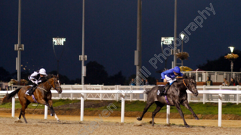 Welsh-Lord-0003 
 WELSH LORD (Hector Crouch) wins The Natta Building Company Ltd Novice Stakes
Chelmsford 6 Sep 2018 - Pic Steven Cargill / Racingfotos.com