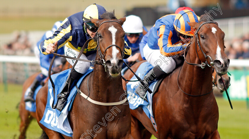 Good-Vibes-0004 
 GOOD VIBES (left, Richard Kingscote) beats PISTOLETTO (right) in The Newmarket Academy Godolphin Beacon Project Cornwallis Stakes
Newmarket 11 Oct 2019 - Pic Steven Cargill / Racingfotos.com