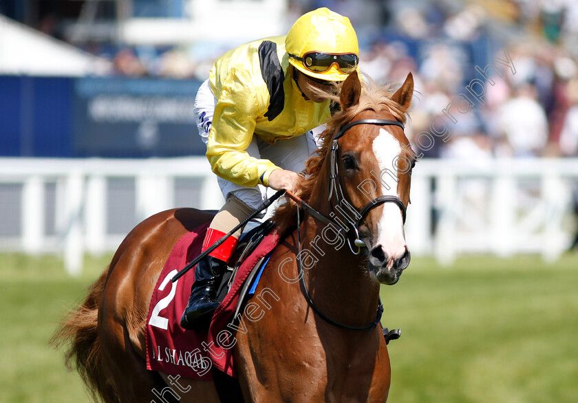 Masaarr-0001 
 MASAARR (Andrea Atzeni)
Newbury 19 May 2018 - Pic Steven Cargill / Racingfotos.com