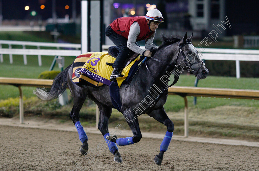 Roaring-Lion-0004 
 ROARING LION exercising ahead of The Breeders' Cup Classic
Churchill Downs USA 30 Oct 2018 - Pic Steven Cargill / Racingfotos.com