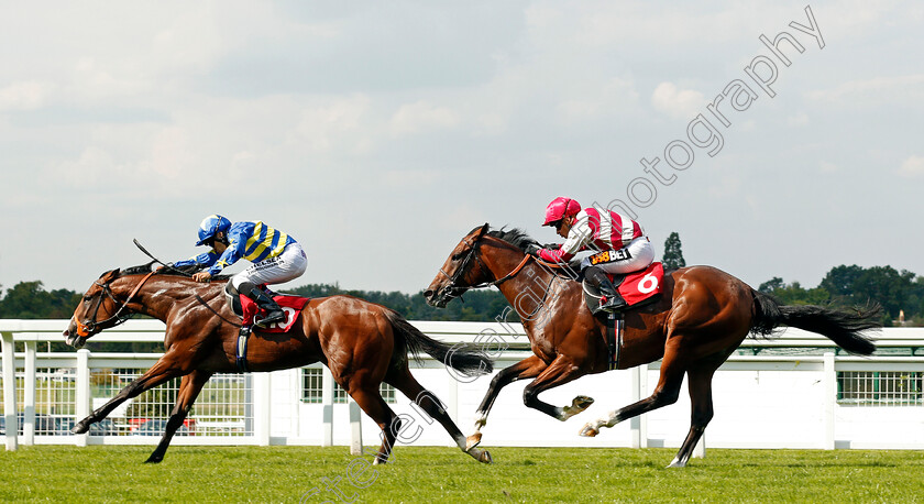 Rum-Runner-0006 
 RUM RUNNER (Sean Levey) beats ENZEMBLE (right) in The British Stallion Studs EBF Maiden Stakes Div1 Sandown 1 Sep 2017 - Pic Steven Cargill / Racingfotos.com