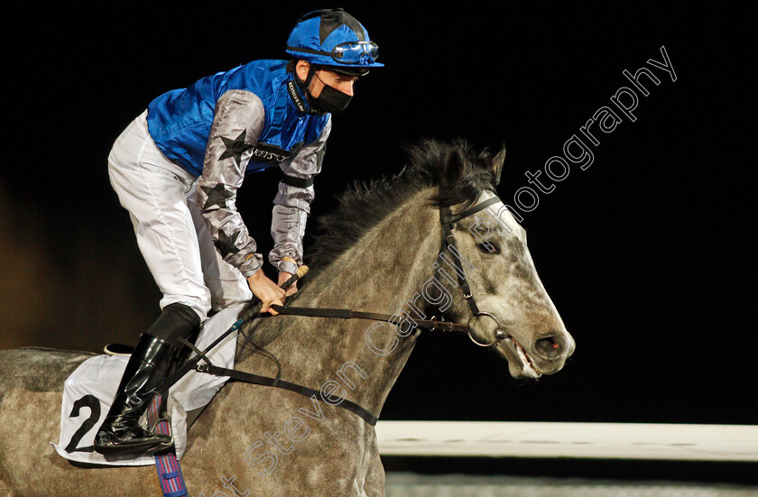 Good-Reason-0002 
 GOOD REASON (Callum Shepherd)
Kempton 3 Feb 2021 - Pic Steven Cargill / Racingfotos.com