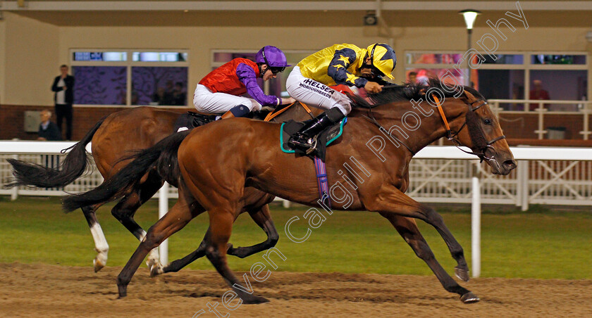 Bumptious-0002 
 BUMPTIOUS (Sean Levey) wins The Bet toteexacta At betfred.com Fillies Handicap Chelmsford 26 Sep 2017 - Pic Steven Cargill / Racingfotos.com