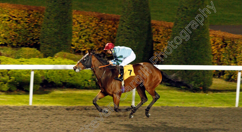 Volturnus-0004 
 VOLTURNUS (Nicky Mackay) wins The 32Red On The App Store Handicap Kempton 8 Nov 2017 - Pic Steven Cargill / Racingfotos.com