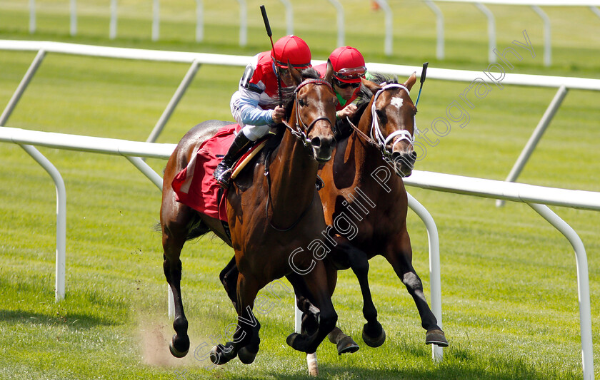 Pillar-Mountain-0003 
 PILLAR MOUNTAIN (right, Joel Rosario) beats HE'S NO LEMON (left) in Allowance
Belmont Park USA, 6 Jun 2019 - Pic Steven Cargill / Racingfotos.com