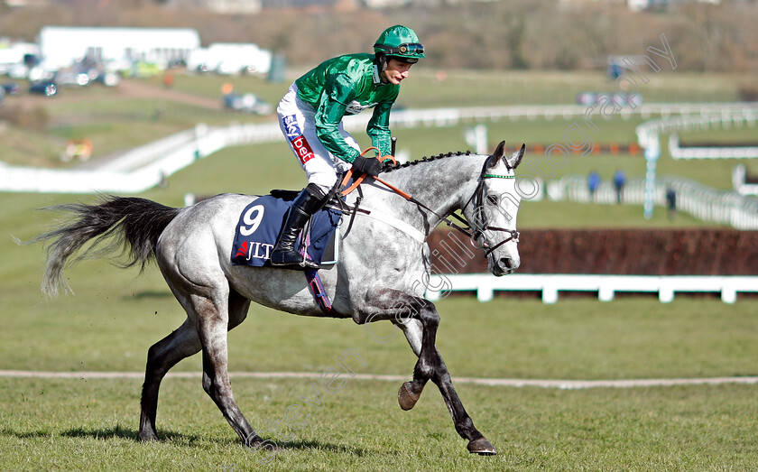 Terrefort-0001 
 TERREFORT (Daryl Jacob) Cheltenham 15 Mar 2018 - Pic Steven Cargill / Racingfotos.com