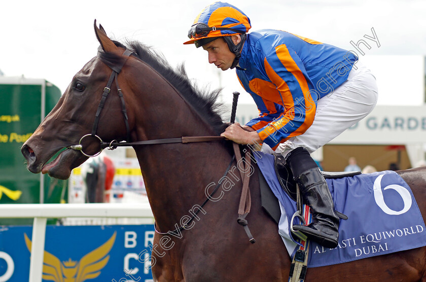 Johannes-Brahms-0001 
 JOHANNES BRAHMS (Ryan Moore)
York 25 Aug 2023 - Pic Steven Cargill / Racingfotos.com