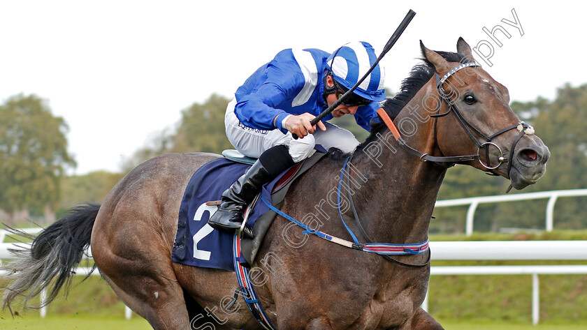 Katheefa-0006 
 KATHEEFA (Dane O'Neill) wins The Network Productions Maiden Stakes Chepstow 6 Sep 2017 - Pic Steven Cargill / Racingfotos.com