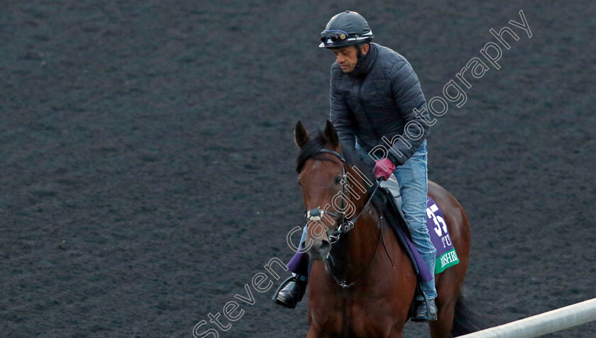 Mishriff-0003 
 MISHRIFF training for the Breeders' Cup Turf 
Keeneland USA 1 Nov 2022 - Pic Steven Cargill / Racingfotos.com