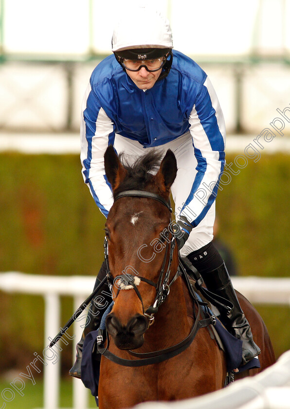 Queen-Of-Mayfair-0001 
 QUEEN OF MAYFAIR (Robert Havlin)
Wolverhampton 28 Nov 2018 - Pic Steven Cargill / Racingfotos.com