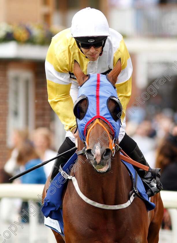 Shallow-Hal-0001 
 SHALLOW HAL (Ben Curtis)
York 15 Jun 2019 - Pic Steven Cargill / Racingfotos.com