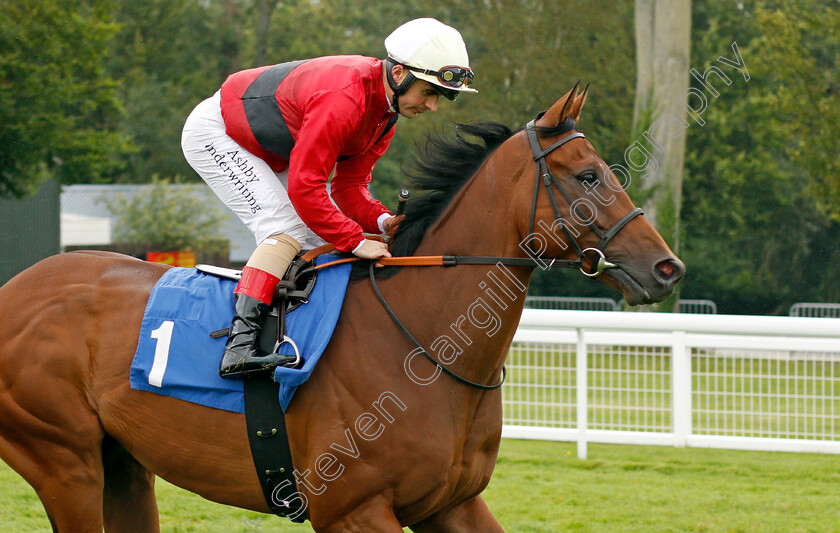 Good-Humor-0001 
 GOOD HUMOR (Andrea Atzeni)
Salisbury 12 Aug 2021 - Pic Steven Cargill / Racingfotos.com