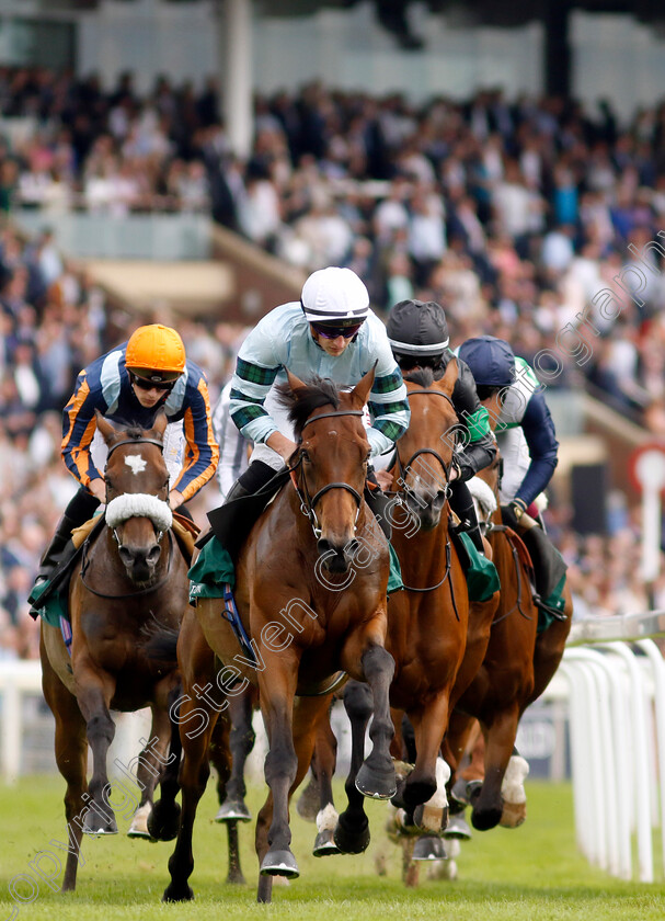 Quickthorn-0002 
 QUICKTHORN (Tom Marquand)
York 25 Aug 2023 - Pic Steven Cargill / Racingfotos.com