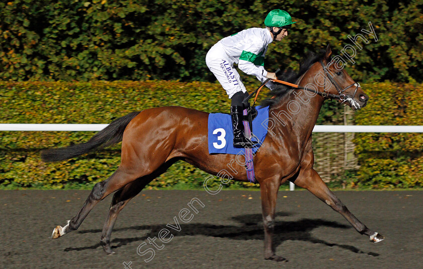 Archie-Mckellar-0001 
 ARCHIE MCKELLAR (Pat Dobbs) winner of The 32Red.com Novice Stakes Kempton 18 Oct 2017 - Pic Steven Cargill / Racingfotos.com