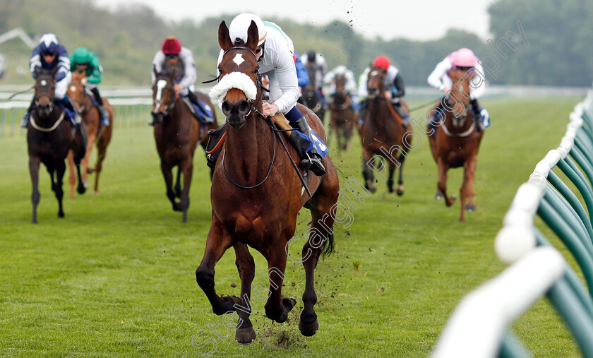 I m-Available-0005 
 I'M AVAILABLE (Oisin Murphy) wins The #Goracinggreen Fillies Handicap
Nottingham 30 Apr 2019 - Pic Steven Cargill / Racingfotos.com