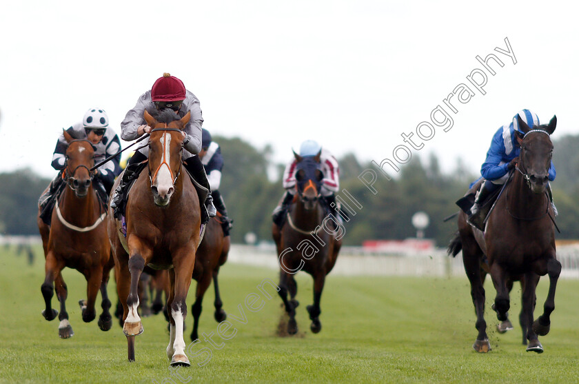 Qaysar-0001 
 QAYSAR (James Doyle) wins The Melbourne 10 Handicap
Newbury 6 Aug 2019 - Pic Steven Cargill / Racingfotos.com