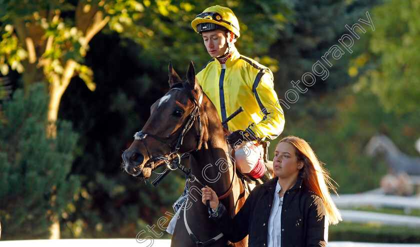 So-Sharp-0001 
 SO SHARP (Oisin Murphy)
Kempton 2 Oct 2019 - Pic Steven Cargill / Racingfotos.com