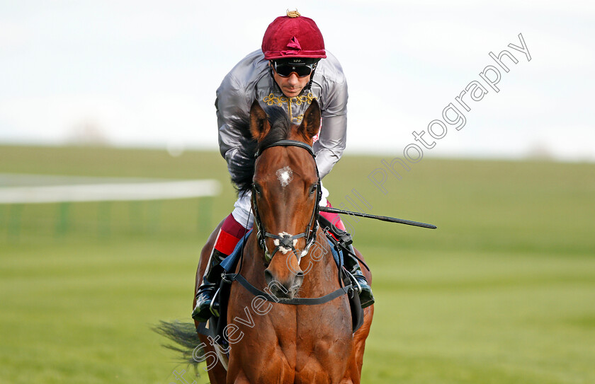 Msayyan-0003 
 MSAYYAN (Frankie Dettori) Newmarket 17 Apr 2018 - Pic Steven Cargill / Racingfotos.com