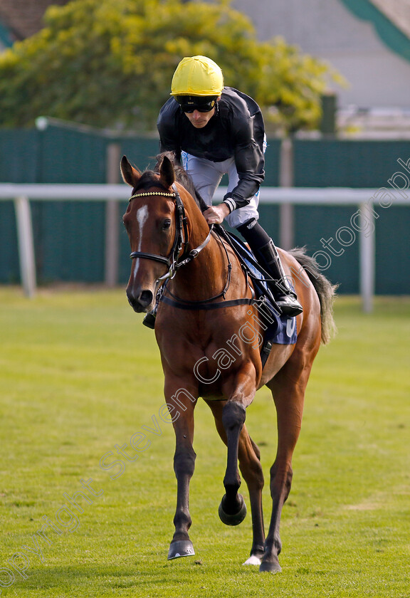 Gonna-Fly-Now-0002 
 GONNA FLY NOW (Kieran Shoemark)
Yarmouth 18 Sep 2024 - Pic Steven Cargill / Racingfotos.com