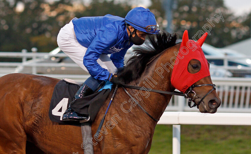 Fabrizio-0001 
 FABRIZIO (William Buick)
Chlmsford 15 Oct 2020 - Pic Steven Cargill / Racingfotos.com