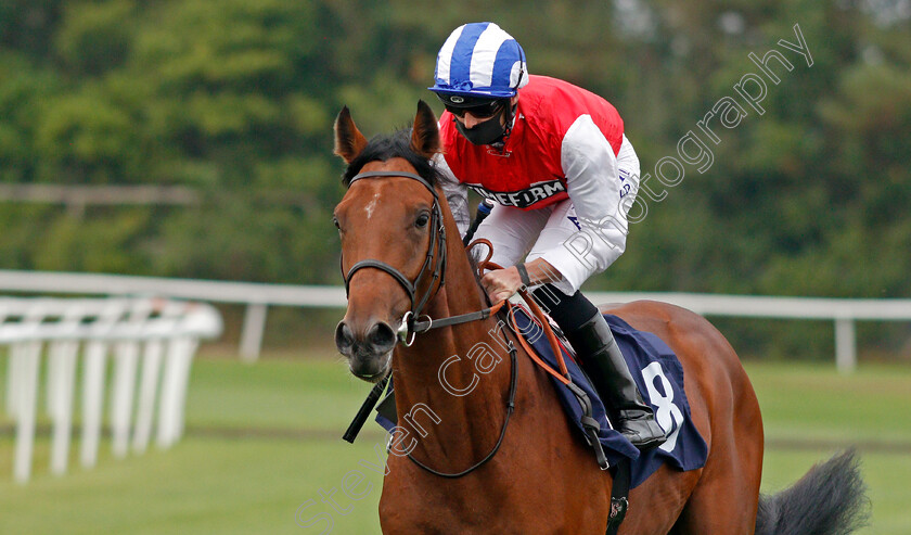 React-0001 
 REACT (Jack Mitchell)
Lingfield 14 Aug 2020 - Pic Steven Cargill / Racingfotos.com