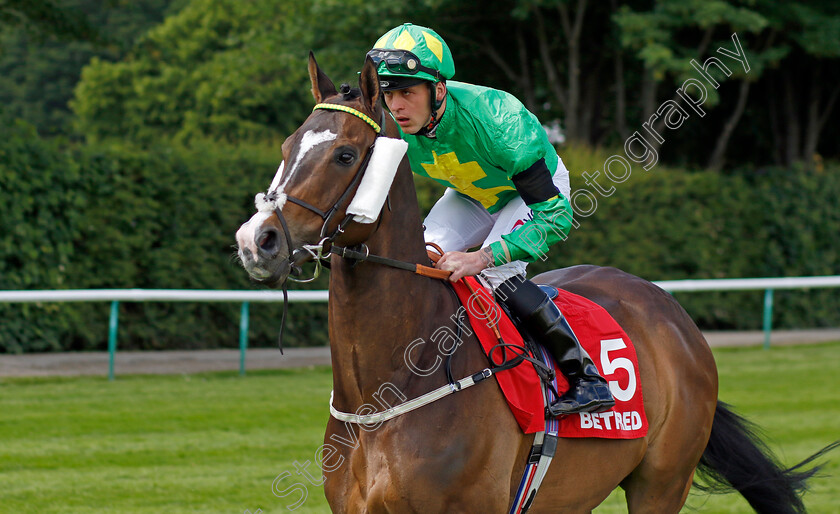 Kelly s-Dino 
 KELLY'S DINO (Clifford Lee)
Haydock 28 May 2022 - Pic Steven Cargill / Racingfotos.com