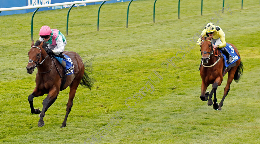 Lead-Artist-0001 
 LEAD ARTIST (Kieran Shoemark) wins The Darley Stakes
Newmarket 12 Oct 2024 - Pic Steven Cargill / Racingfotos.com