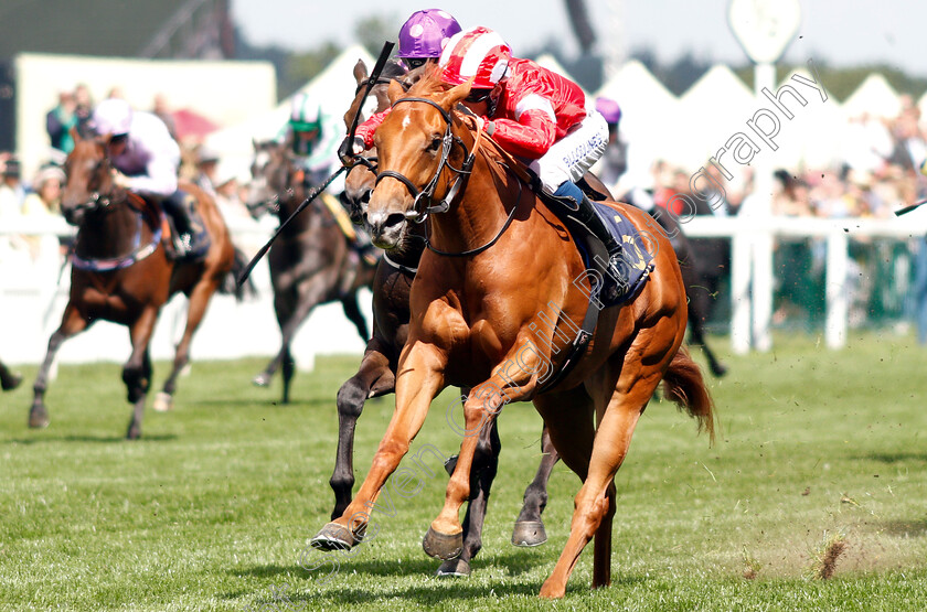 Daahyeh-0004 
 DAAHYEH (David Egan) wins The Albany Stakes
Royal Ascot 21 Jun 2019 - Pic Steven Cargill / Racingfotos.com