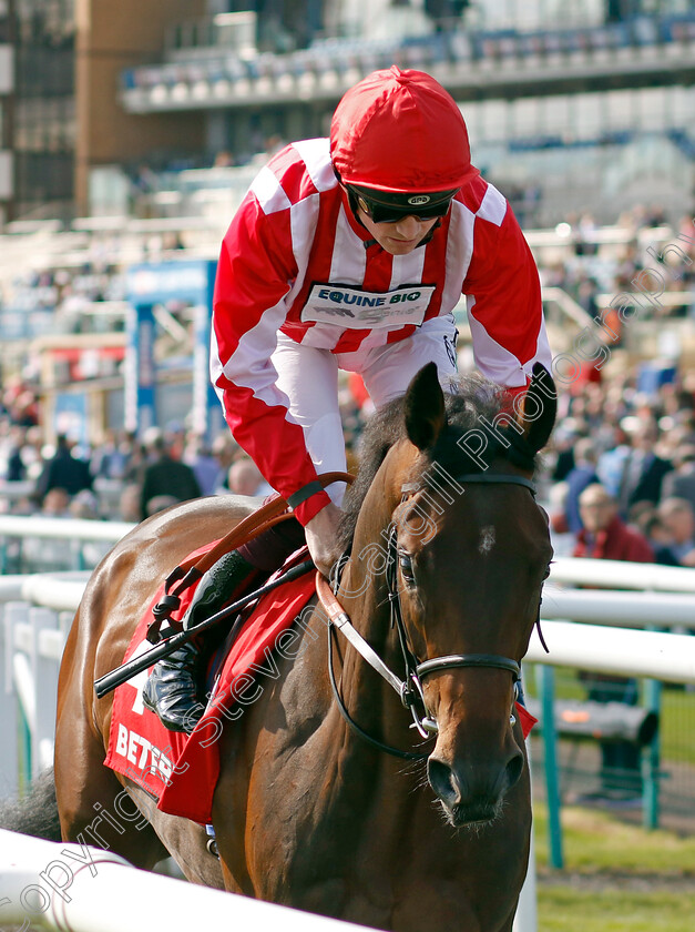 Mr-Chaplin-0001 
 MR CHAPLIN (Rob Hornby)
Doncaster 13 Sep 2024 - Pic Steven Cargill / Racingfotos.com