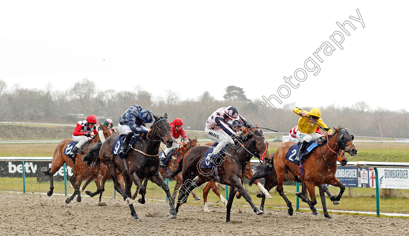 Saracen-Star-0001 
 SARACEN STAR (centre, Tom Marquand) beats CRITIQUE (right) and DAME DENALI (left) in The Ladbrokes Handicap
Lingfield 4 Mar 202 - Pic Steven Cargill / Racingfotos.com