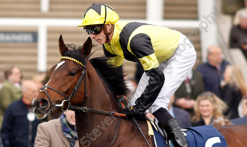 Worth-Waiting-0001 
 WORTH WAITING (James Doyle) winner of The Charm Spirit Dahlia Stakes
Newmarket 5 May 2019 - Pic Steven Cargill / Racingfotos.com