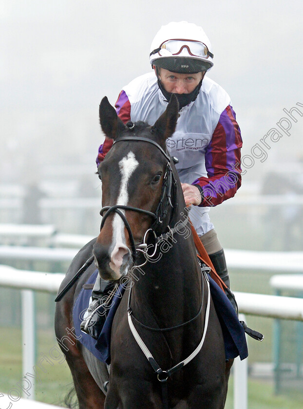 Gaelic-Secret-0001 
 GAELIC SECRET (Joe Fanning)
Doncaster 7 Nov 2020 - Pic Steven Cargill / Racingfotos.com